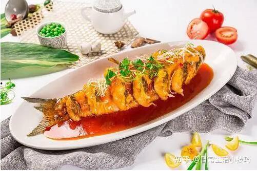 成人烹饪视频教程大全
